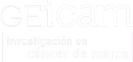 geicam logo